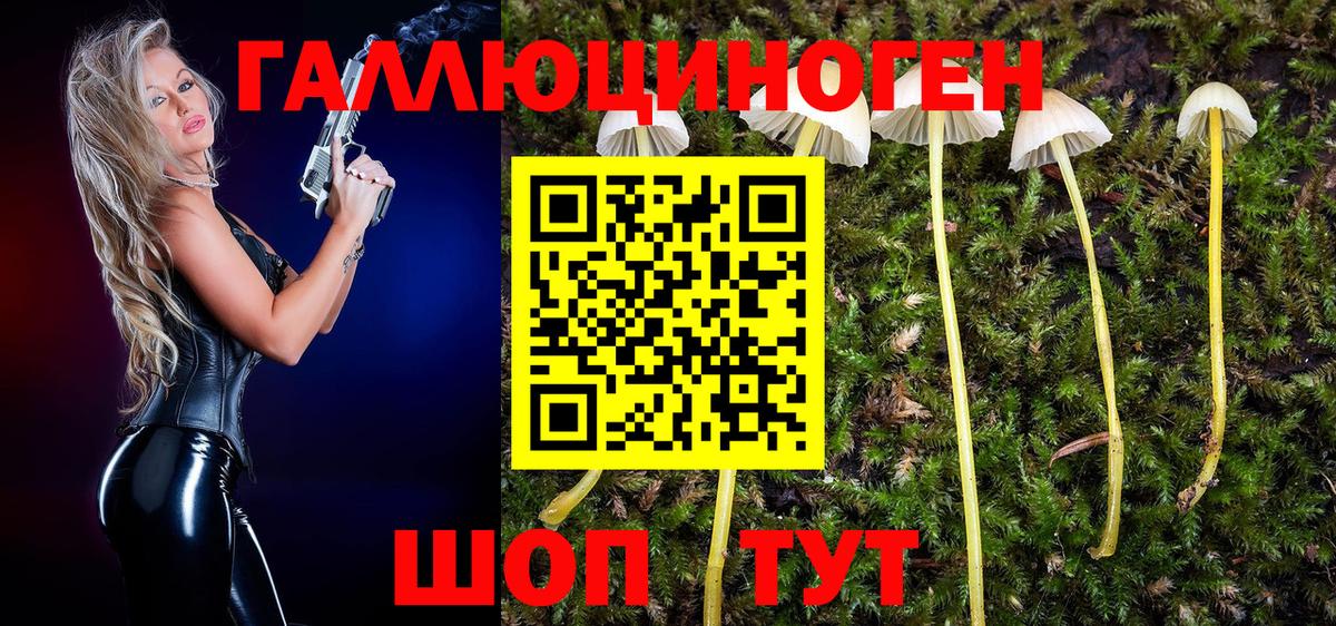 Галлюциногенные грибы Magic Shrooms  Вход с VPN  наркотики  Хабаровск 